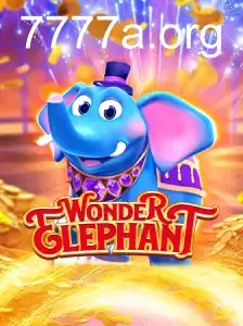 WonderElephant